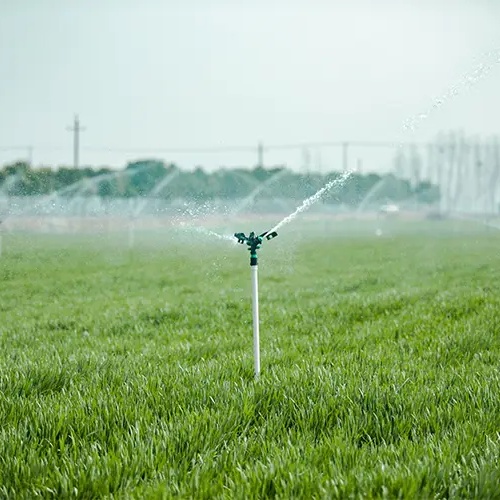 What Are Installation Types , Winter Maintenance And Cost Analysis of Irrigation Systems