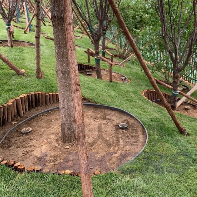 What Are The Application Scenarios of Root Irrigator