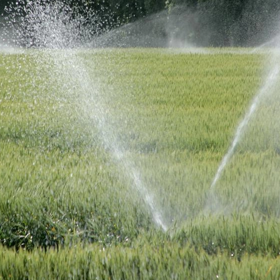 What Is A Irrigation Sprinkler System?