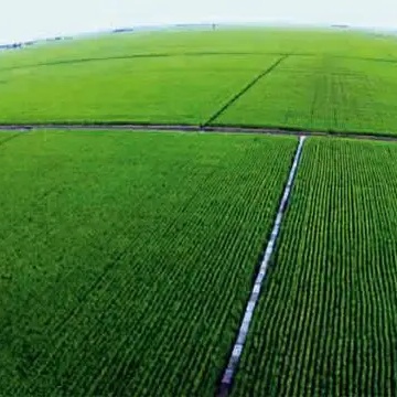 What Is A Irrigation System​ World ?