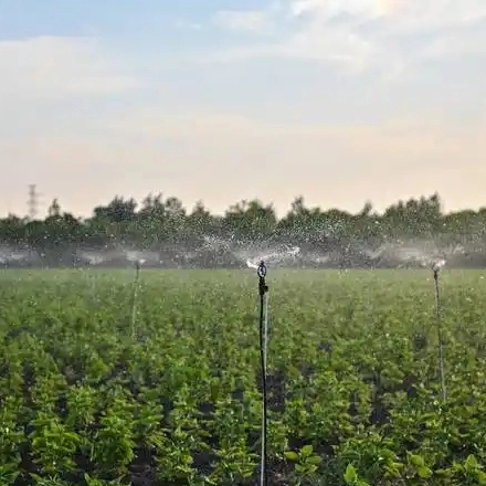 How do butterfly sprinklers work in greenhouse?