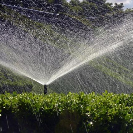 What Are Types,Benefits, And Applications of Above Groud Sprinkler Systems?