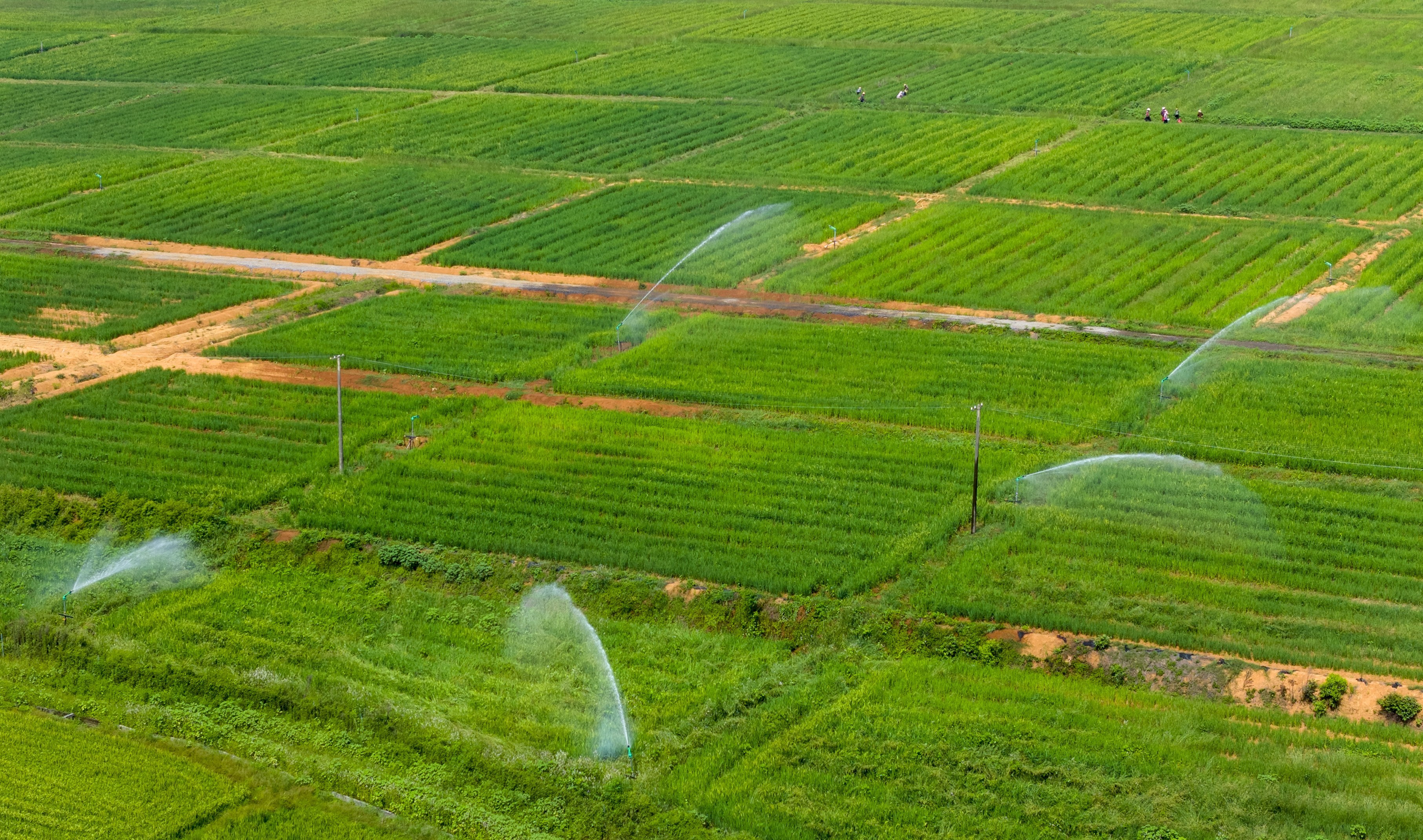 Impact Sprinklers: A Comprehensive Guide