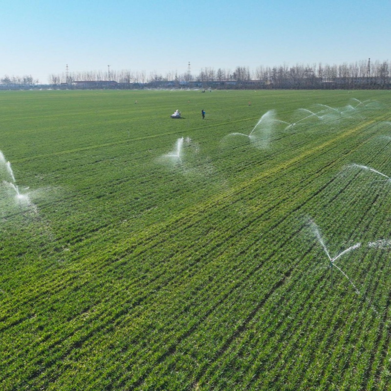 How Do Different Kinds of Sprinkler Systems Work?