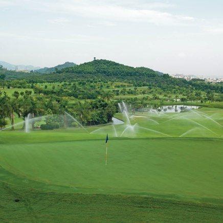 What Are Sprinklers & Sprinkler Heads for Garden And Agriculture ?