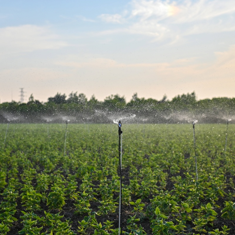 How To DIY In Agriculture And Garden Irrigation System ?