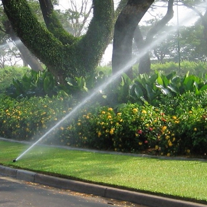Buried Sprinkler Body Replacement And DIY