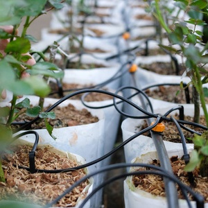 What Is The Cost of Irrigaiton System Material And Installation ?