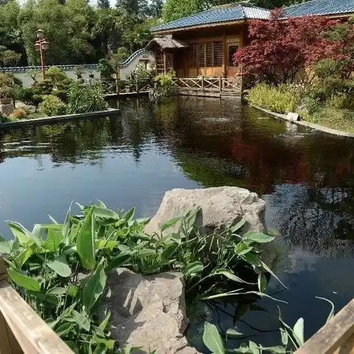 How To Choose Gardening Tools for A Thriving Yard ?