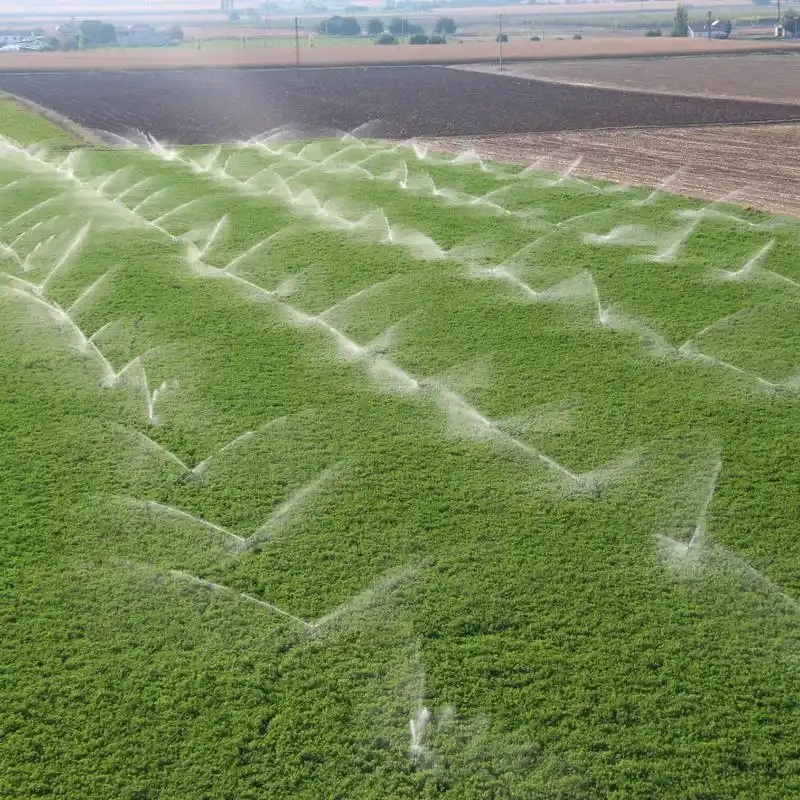 Unveiling The Wonders of Sprinkler Systems