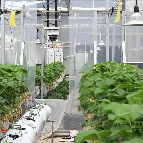 What Are Smart Sensor Sprinklers for Yard Irrigation?