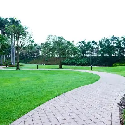 What Is The Vital Role of Sprinkler And Irrigation Systems in Lawn Care