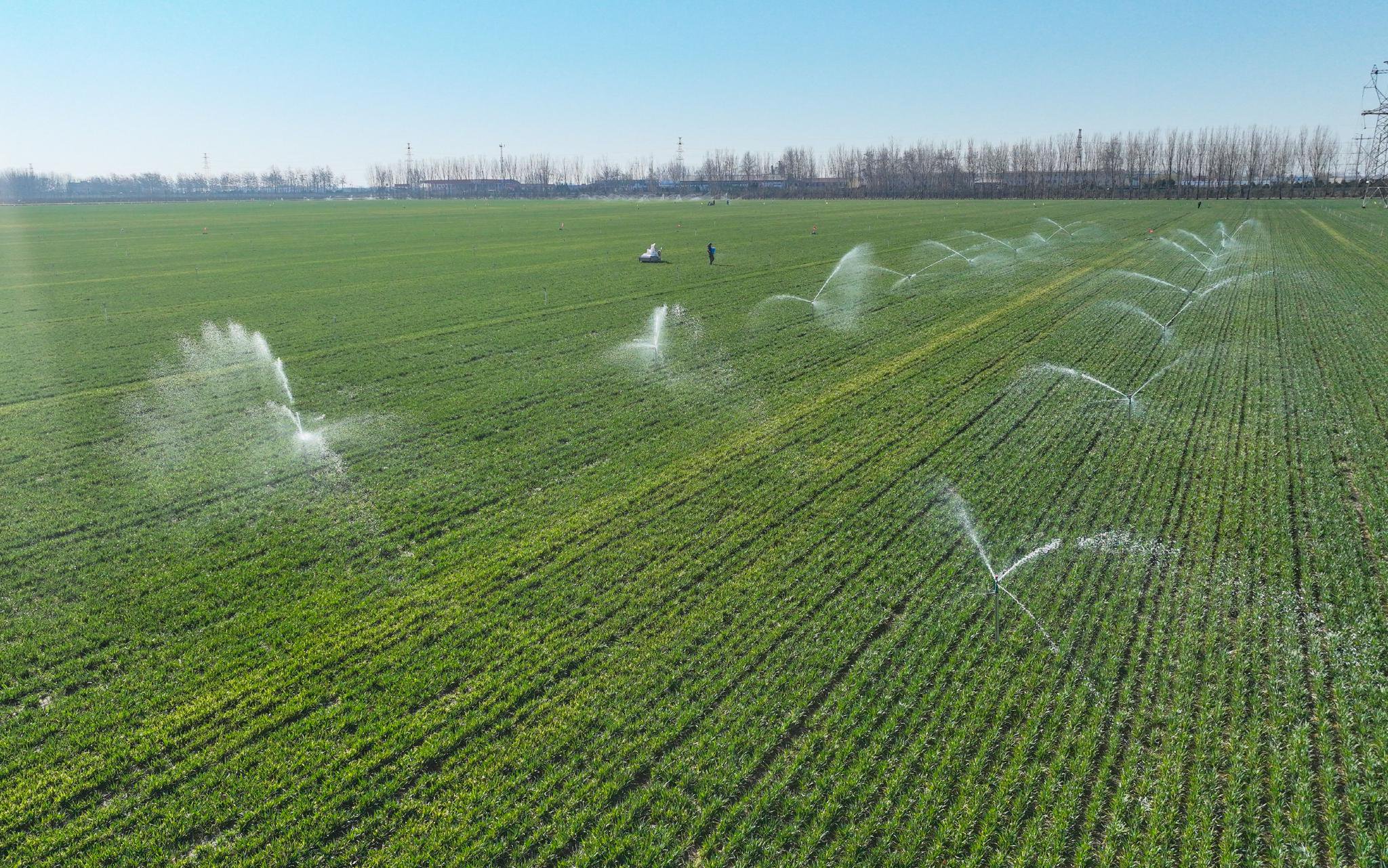 Sprinkler Systems Apply Water To The Landscape in A Controlled Manner