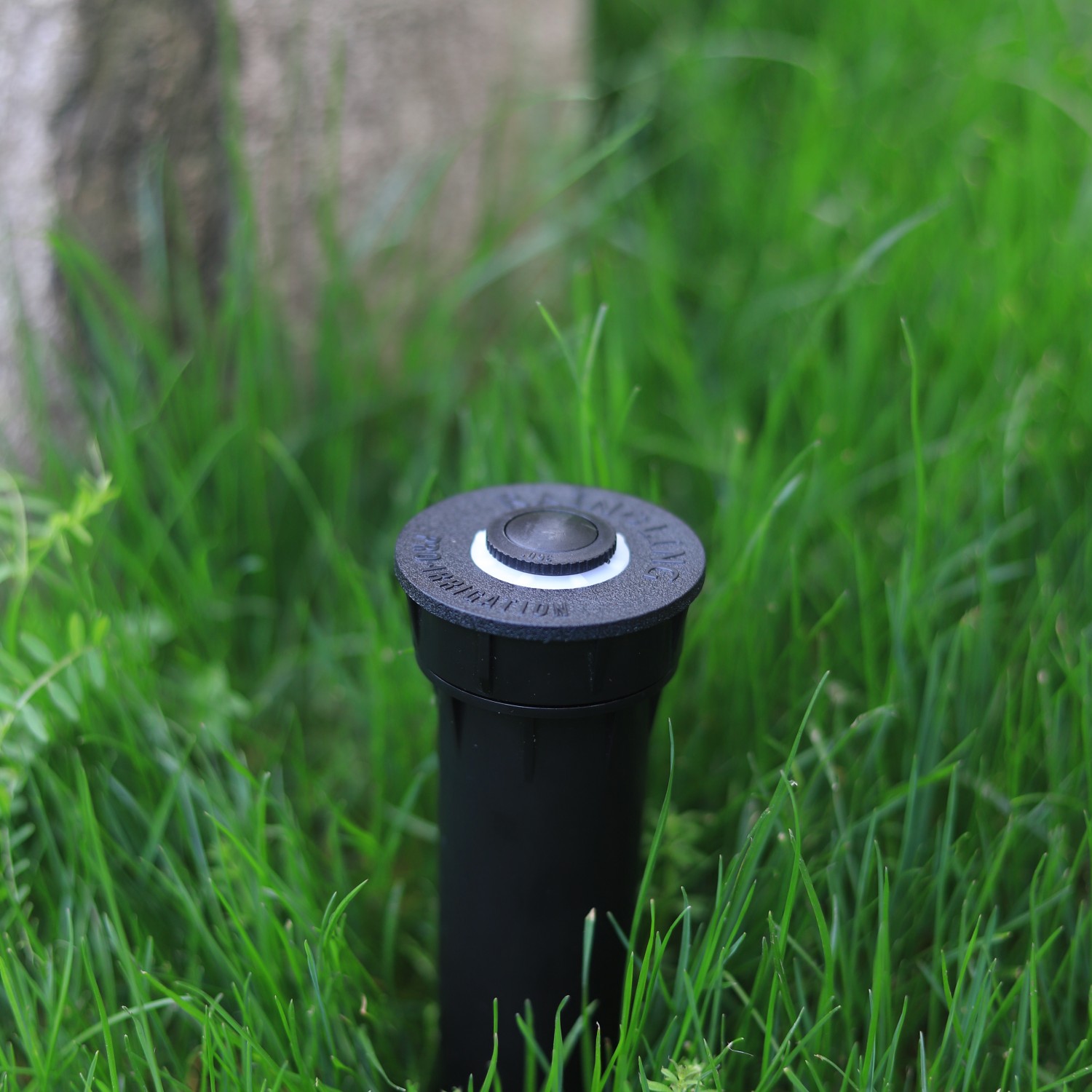 RainIrri 1/2" Internal Thread ABS Pop Up Sprinkler Body for Garden Lawn Irrigation Management System